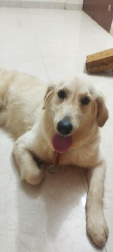 Maggie